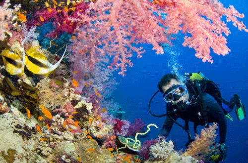 Sharm El Sheikh City