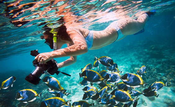 Red Sea Hot Deals