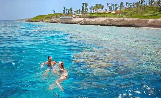 Sharm, Honeymoon tour to Cairo & Sharm El-sheikh 