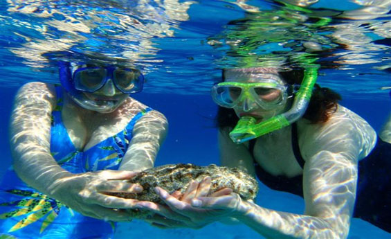 Snorkeling in Giftun Island