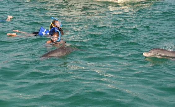 Snorkeling Marsa Alam