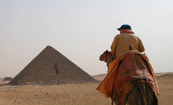 Camel Tours, Cairo