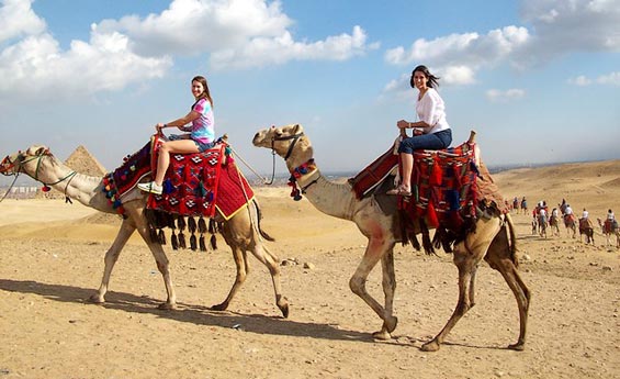 Camel ride, Pyramids Tours and Lunch Cruise from Alexandria port 