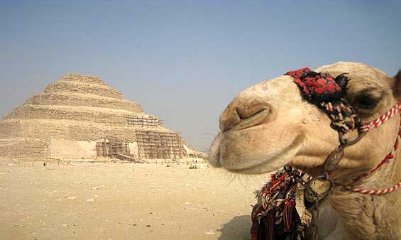 Sakkara Pyramid, Cairo Tours