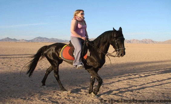 Horse Riding in Sharm El Sheikh