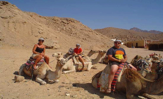 Camel Ride in Sharm El Sheikh Camel Ride in Sharm El Sheikh