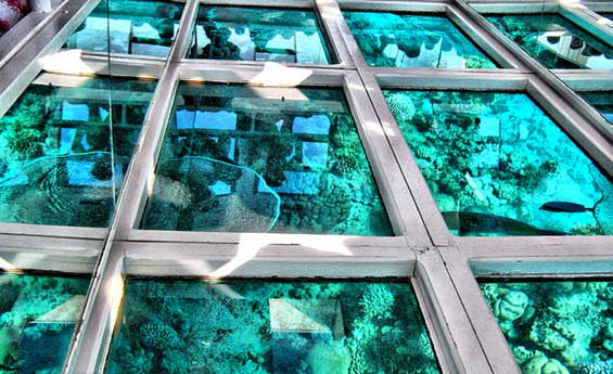 Glass Bottom Boat Sharm El Sheikh