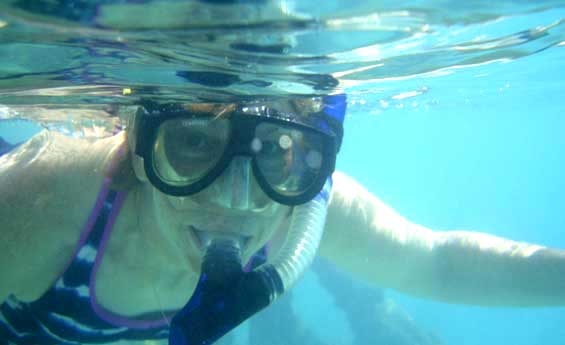 Snorkeling Tour, Sharm El Sheikh Excursions Snorkeling Tour, Sharm El Sheikh Excursions