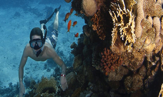 Snorkeling Trip to the Blue Hole