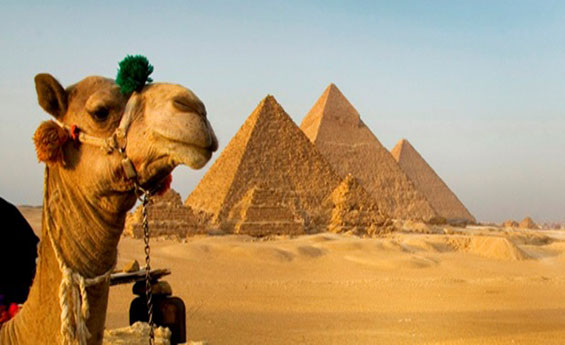 Pyramids of Giza, Cairo Tours