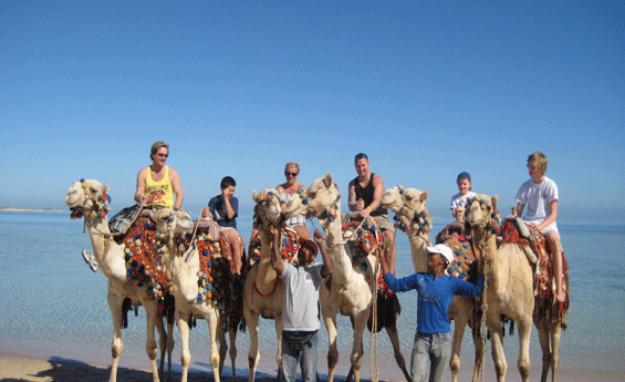 Red Sea Hot Deals
