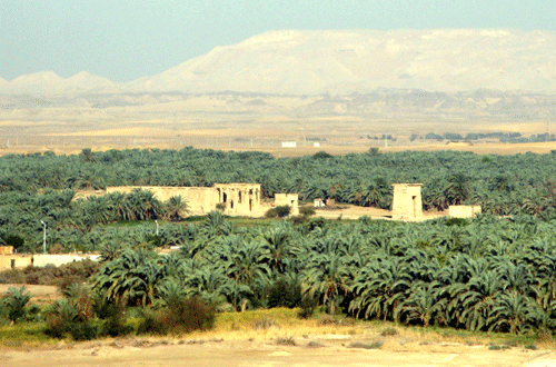 kharga Oasis