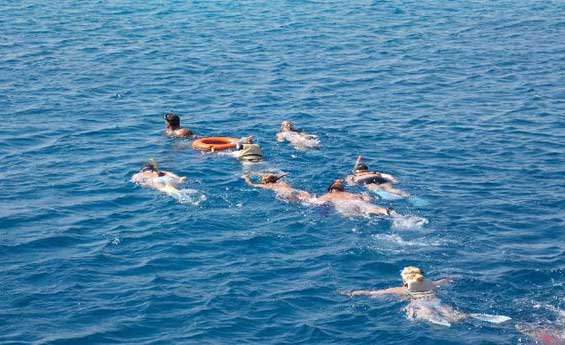 Snorkeling at Tiran Island Snorkeling at Tiran Island