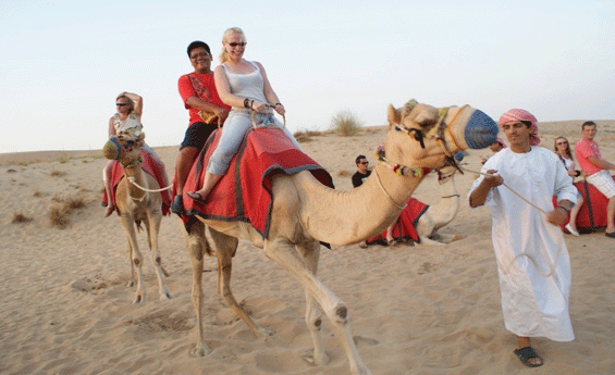 Camel Ride in Sharm El Sheikh