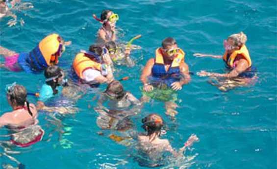 Mahmya Island, Mahmya Island Snorkeling tour