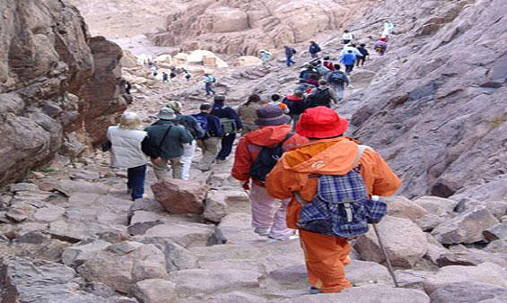 St. Catherine Sinai, Tours to Egypt