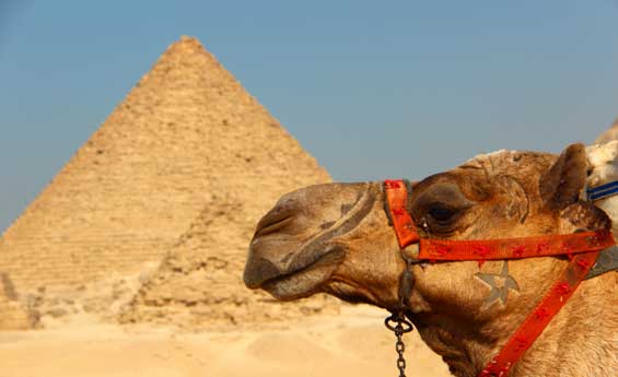 Giza Pyramids, Cairo tours