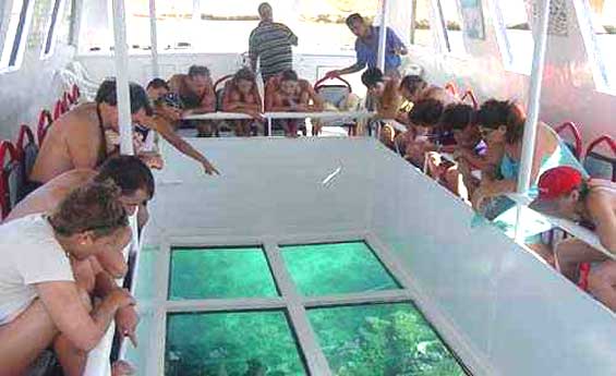 Sharm El Sheikh Glass Bottom Boat