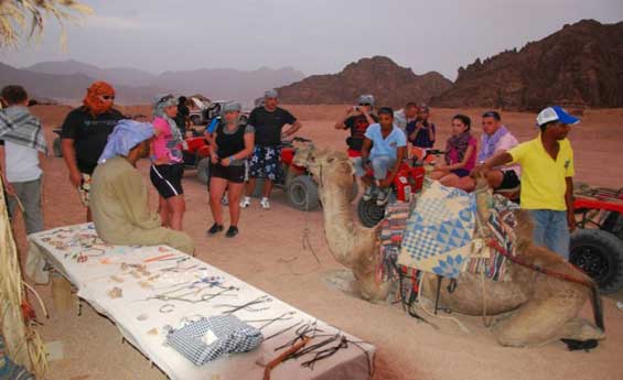 Quad Bike, Camel Riding, and Barbeque dinner in Sharm Quad Bike, Camel Riding, and Barbeque dinner in Sharm