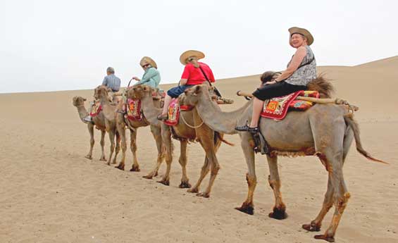 Camel riding at Dahab