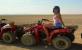 Hurghada Quad Biking