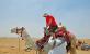 Camel Ride at Giza, Hot Deals