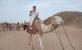 Camel Ride in Hurghada