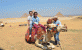 Camel Ride Tours