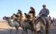 Camel Riding Tour in Sharm