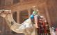 Riding Camel at Petra, Petra Tours