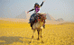 Camel Ride