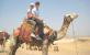 Camel Ride at Giza, Honeymoon tour