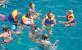 Mahmya Island, Mahmya Island Snorkeling tour