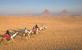 Camel Ride at the Pyramids area