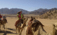 Camel Ride in Sharm El Sheikh